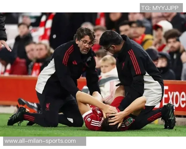 疯狂樱桃重建之路伯恩茅斯夏窗大换血后仅输利物浦一场 疯狂樱桃重建之路伯恩茅斯夏窗大换血后仅输利物浦一场