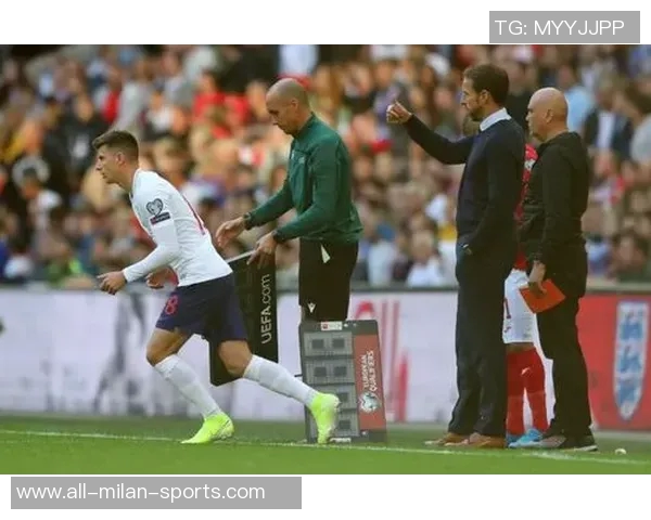 卢宁回应拒绝国家队出战传言称为国出战是每个球员的梦想 卢宁回应拒绝国家队出战传言称为国出战是每个球员的梦想